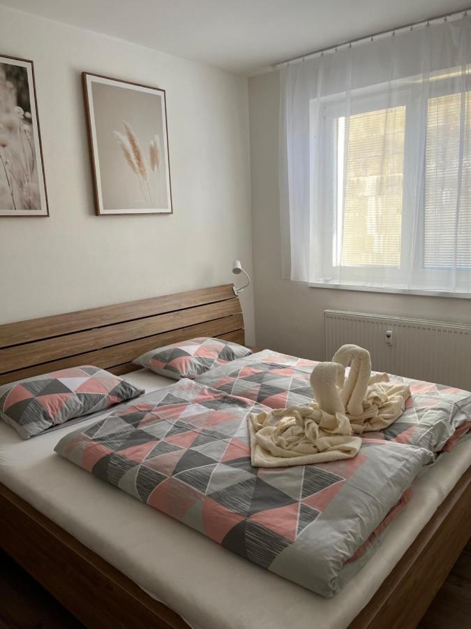 Novy Apartman V Arealu Wellness Hotelu Frymburk Extérieur photo